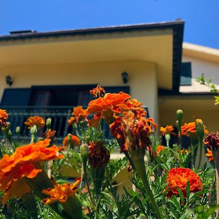 Villa Casa Sao Simao à Barcelos Extérieur photo
